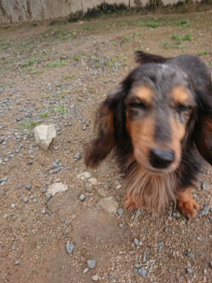 f:id:roukenhome-ann:20190611185917j:plain