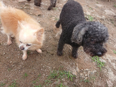 f:id:roukenhome-ann:20190611185923j:plain