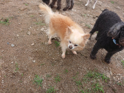 f:id:roukenhome-ann:20190611185928j:plain