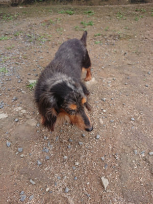 f:id:roukenhome-ann:20190611185942j:plain