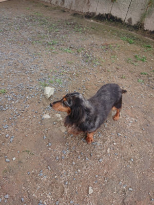 f:id:roukenhome-ann:20190611185950j:plain