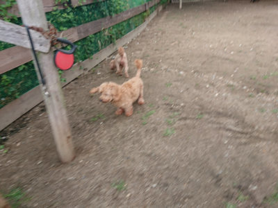 f:id:roukenhome-ann:20190611185955j:plain