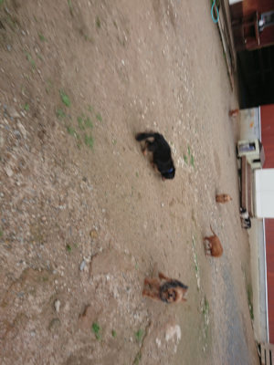 f:id:roukenhome-ann:20190611190002j:plain