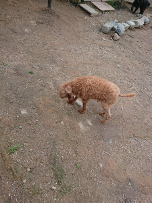 f:id:roukenhome-ann:20190611190008j:plain