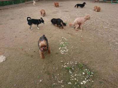 f:id:roukenhome-ann:20190611190125j:plain