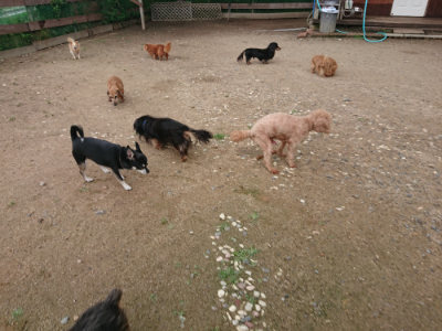 f:id:roukenhome-ann:20190611190130j:plain