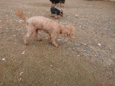 f:id:roukenhome-ann:20190611190135j:plain