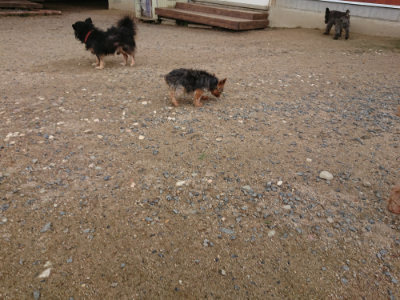 f:id:roukenhome-ann:20190611190141j:plain