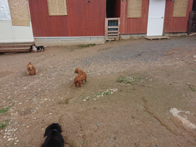 f:id:roukenhome-ann:20190611190147j:plain