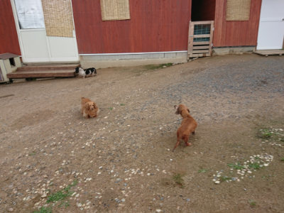 f:id:roukenhome-ann:20190611190152j:plain