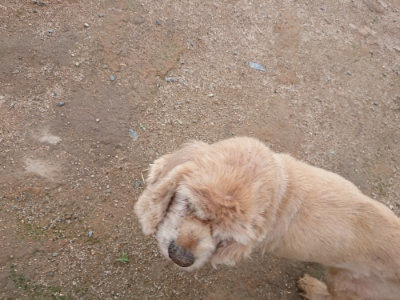 f:id:roukenhome-ann:20190611190159j:plain