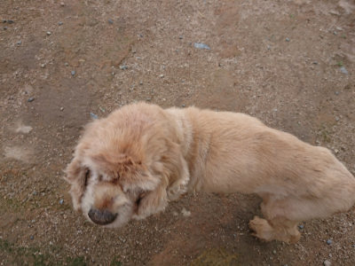 f:id:roukenhome-ann:20190611190206j:plain