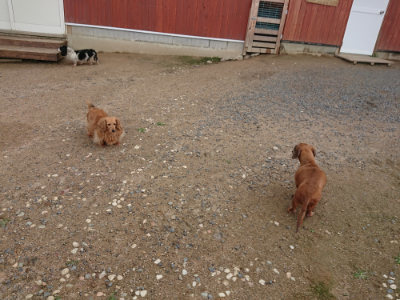 f:id:roukenhome-ann:20190611190211j:plain