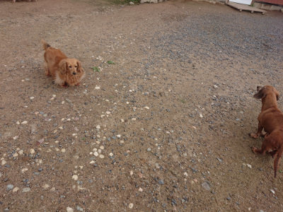 f:id:roukenhome-ann:20190611190230j:plain