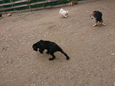 f:id:roukenhome-ann:20190611190236j:plain