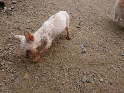 f:id:roukenhome-ann:20190611190241j:plain