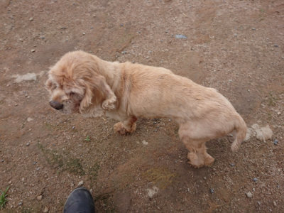 f:id:roukenhome-ann:20190611190246j:plain