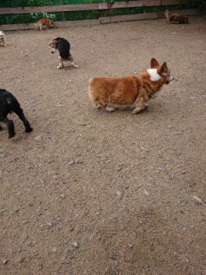 f:id:roukenhome-ann:20190611190252j:plain