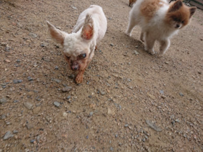 f:id:roukenhome-ann:20190611190304j:plain