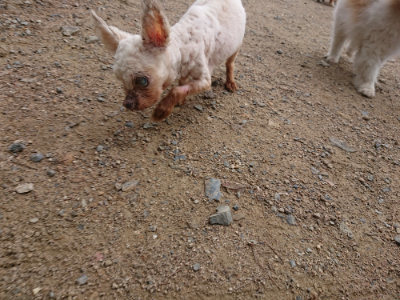 f:id:roukenhome-ann:20190611190310j:plain