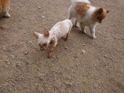 f:id:roukenhome-ann:20190611190342j:plain