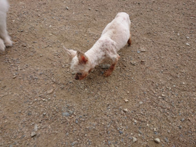 f:id:roukenhome-ann:20190611190403j:plain