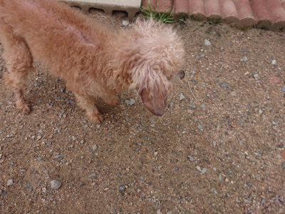 f:id:roukenhome-ann:20190611190411j:plain