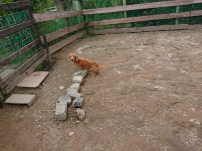 f:id:roukenhome-ann:20190611190423j:plain