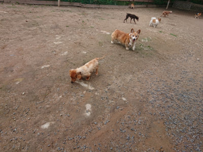 f:id:roukenhome-ann:20190611190446j:plain