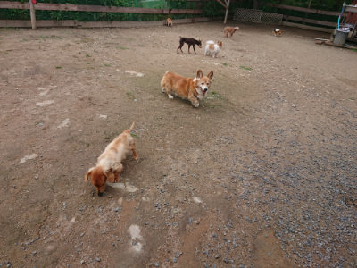 f:id:roukenhome-ann:20190611190452j:plain