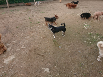 f:id:roukenhome-ann:20190611190459j:plain