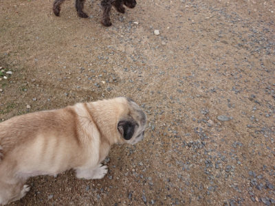 f:id:roukenhome-ann:20190611190512j:plain