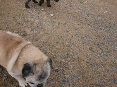 f:id:roukenhome-ann:20190611190518j:plain