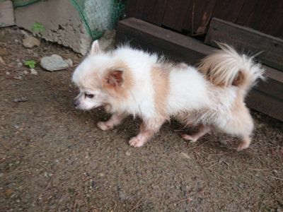 f:id:roukenhome-ann:20190611190541j:plain