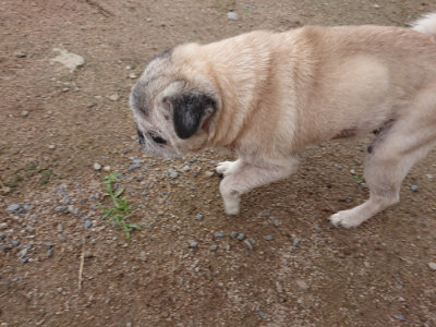 f:id:roukenhome-ann:20190611190546j:plain