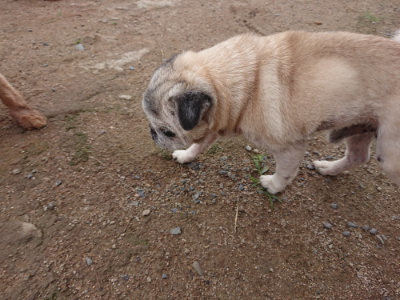 f:id:roukenhome-ann:20190611190551j:plain