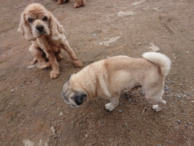 f:id:roukenhome-ann:20190611190556j:plain