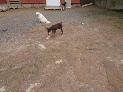 f:id:roukenhome-ann:20190611190606j:plain