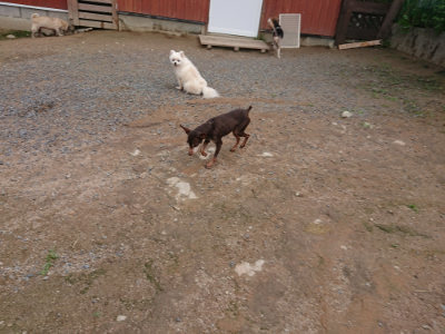 f:id:roukenhome-ann:20190611190612j:plain