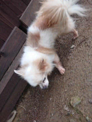 f:id:roukenhome-ann:20190611190618j:plain