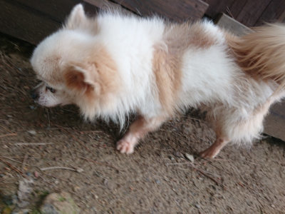 f:id:roukenhome-ann:20190611190625j:plain