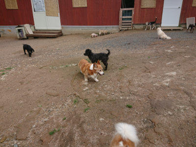 f:id:roukenhome-ann:20190611190631j:plain