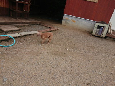 f:id:roukenhome-ann:20190611190642j:plain