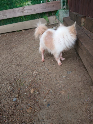 f:id:roukenhome-ann:20190611190648j:plain