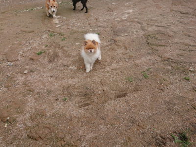 f:id:roukenhome-ann:20190611190700j:plain