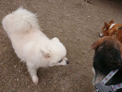 f:id:roukenhome-ann:20190611190706j:plain