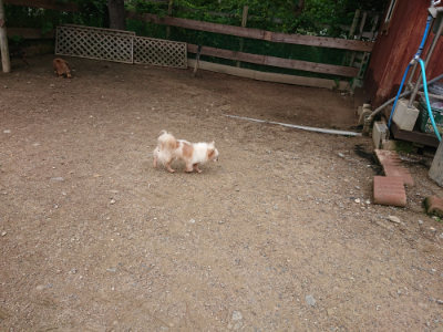 f:id:roukenhome-ann:20190611190713j:plain