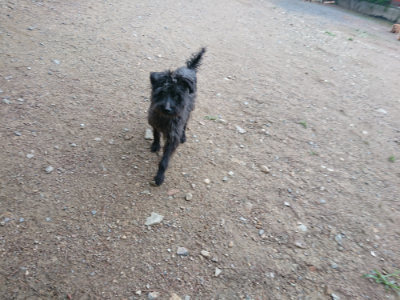 f:id:roukenhome-ann:20190611190921j:plain