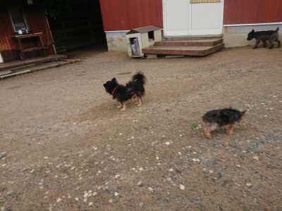 f:id:roukenhome-ann:20190611190937j:plain