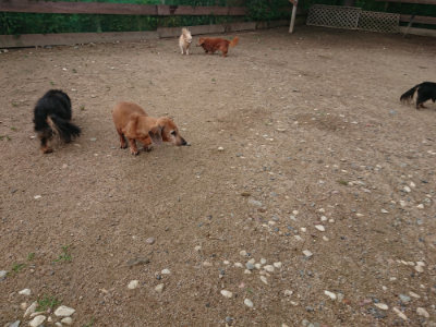 f:id:roukenhome-ann:20190611190942j:plain